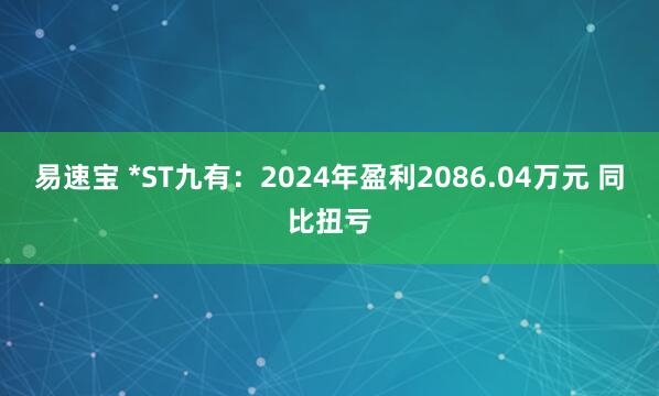 易速宝 *ST九有：2024年盈利2086.04万元 同比扭亏