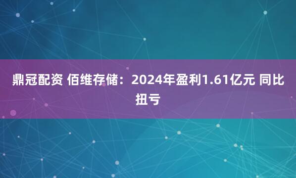 鼎冠配资 佰维存储：2024年盈利1.61亿元 同比扭亏