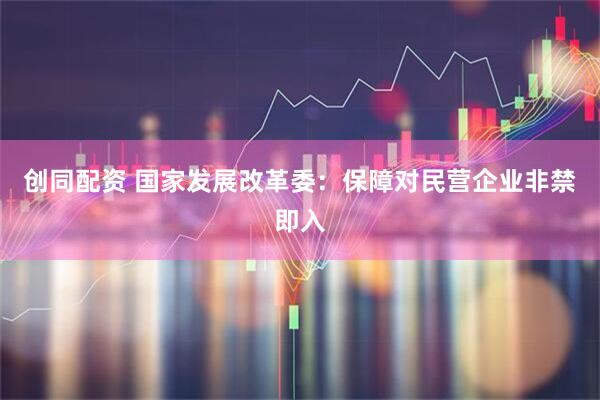 创同配资 国家发展改革委：保障对民营企业非禁即入