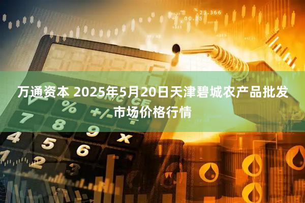 万通资本 2025年5月20日天津碧城农产品批发市场价格行情