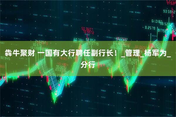 犇牛聚财 一国有大行聘任副行长！_管理_杨军为_分行